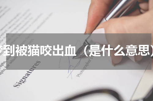 梦到被猫咬出血（是什么意思）