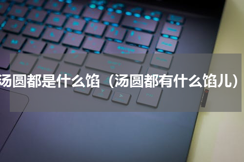 汤圆都是什么馅（汤圆都有什么馅儿）