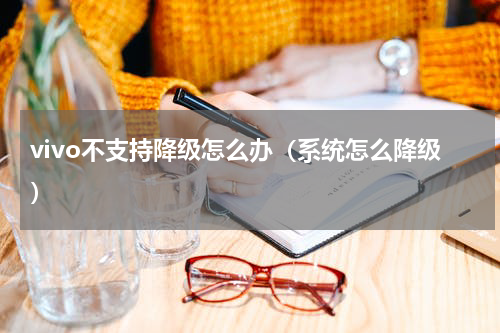 vivo不支持降级怎么办（系统怎么降级）