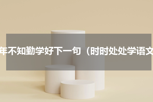 少年不知勤学好下一句（时时处处学语文）