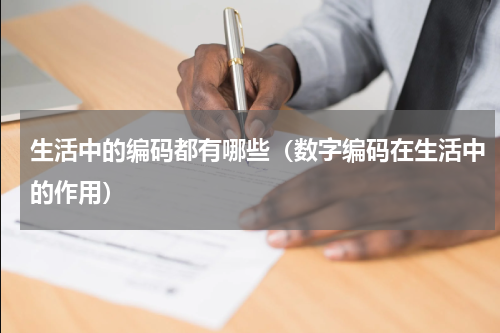 生活中的编码都有哪些（数字编码在生活中的作用）