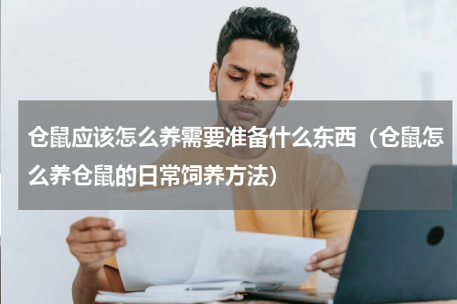仓鼠应该怎么养需要准备什么东西（仓鼠怎么养仓鼠的日常饲养方法）