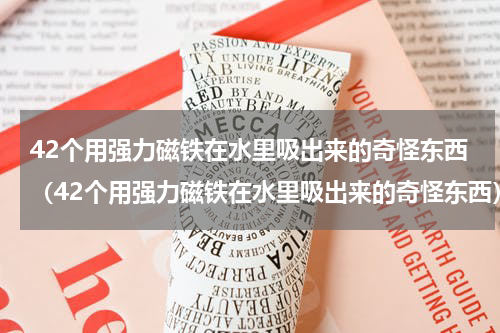 42个用强力磁铁在水里吸出来的奇怪东西（42个用强力磁铁在水里吸出来的奇怪东西）