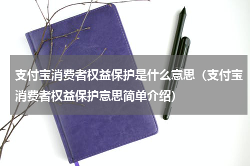 支付宝消费者权益保护是什么意思（支付宝消费者权益保护意思简单介绍）