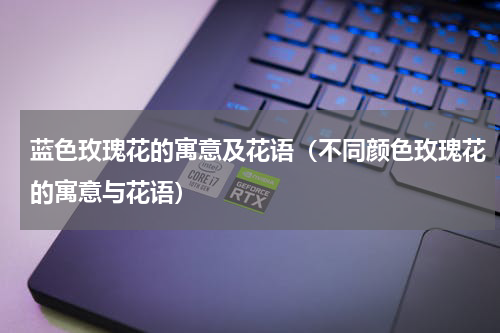 蓝色玫瑰花的寓意及花语（不同颜色玫瑰花的寓意与花语）