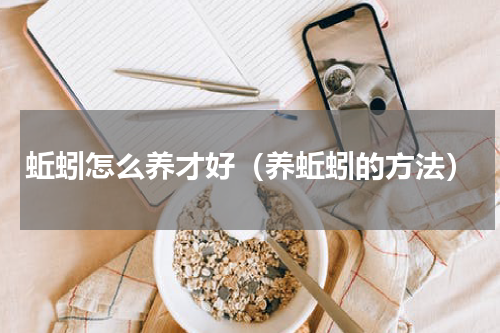 蚯蚓怎么养才好（养蚯蚓的方法）