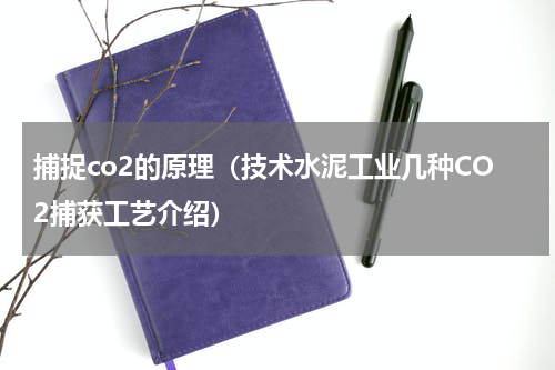 捕捉co2的原理（技术水泥工业几种CO2捕获工艺介绍）