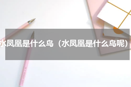 水凤凰是什么鸟（水凤凰是什么鸟呢）