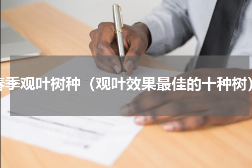 春季观叶树种（观叶效果最佳的十种树）
