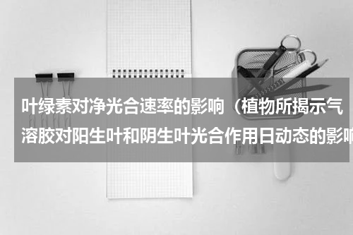 叶绿素对净光合速率的影响（植物所揭示气溶胶对阳生叶和阴生叶光合作用日动态的影响及调控机理）