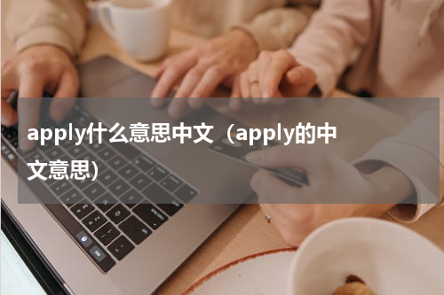 apply什么意思中文（apply的中文意思）