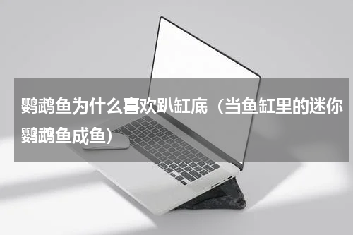 鹦鹉鱼为什么喜欢趴缸底（当鱼缸里的迷你鹦鹉鱼成鱼）