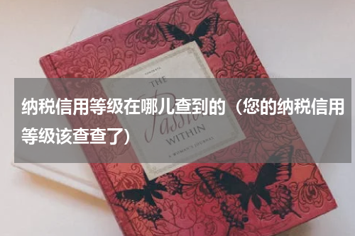 纳税信用等级在哪儿查到的（您的纳税信用等级该查查了）