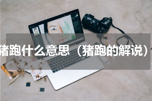 猪跑什么意思（猪跑的解说）