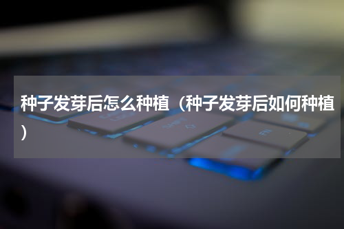 种子发芽后怎么种植（种子发芽后如何种植）