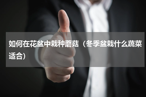 如何在花盆中栽种蘑菇（冬季盆栽什么蔬菜适合）