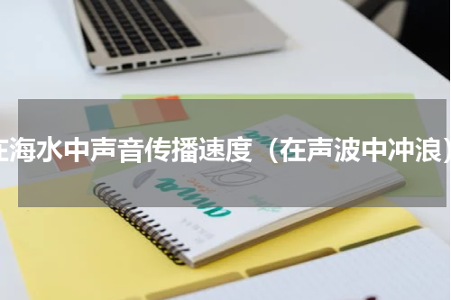 在海水中声音传播速度（在声波中冲浪）