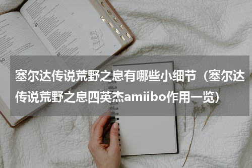 塞尔达传说荒野之息有哪些小细节（塞尔达传说荒野之息四英杰amiibo作用一览）
