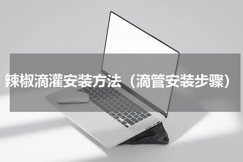 辣椒滴灌安装方法（滴管安装步骤）