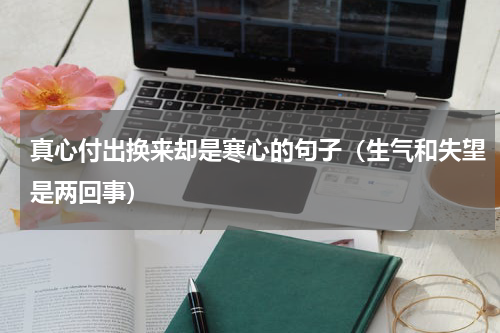 真心付出换来却是寒心的句子（生气和失望是两回事）