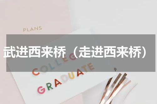 武进西来桥（走进西来桥）