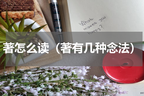 著怎么读（著有几种念法）