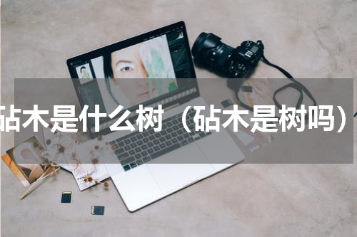 砧木是什么树（砧木是树吗）