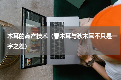 木耳的高产技术（春木耳与秋木耳不只是一字之差）