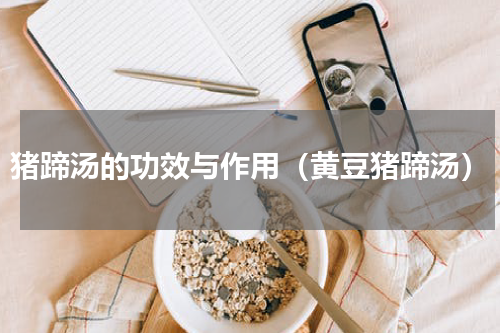 猪蹄汤的功效与作用（黄豆猪蹄汤）