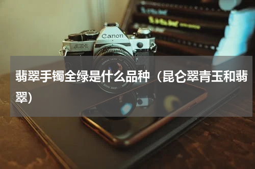 翡翠手镯全绿是什么品种（昆仑翠青玉和翡翠）
