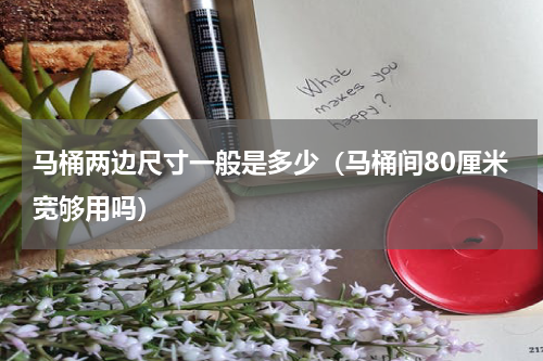 马桶两边尺寸一般是多少（马桶间80厘米宽够用吗）