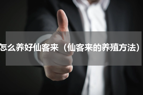 怎么养好仙客来（仙客来的养殖方法）