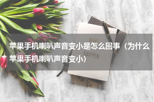 苹果手机喇叭声音变小是怎么回事（为什么苹果手机喇叭声音变小）