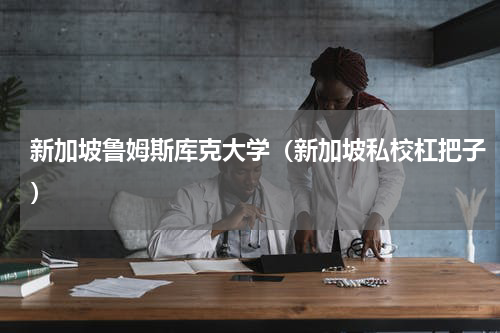 新加坡鲁姆斯库克大学（新加坡私校杠把子）