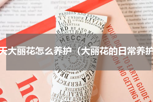 冬天大丽花怎么养护（大丽花的日常养护）