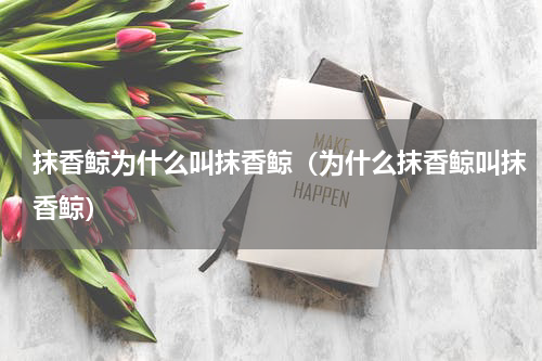 抹香鲸为什么叫抹香鲸（为什么抹香鲸叫抹香鲸）