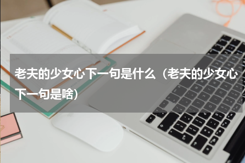 老夫的少女心下一句是什么（老夫的少女心下一句是啥）