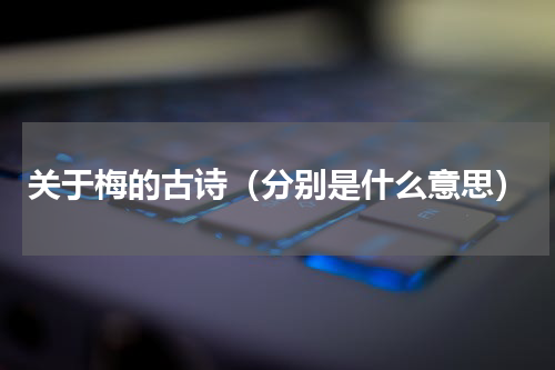 关于梅的古诗（分别是什么意思）