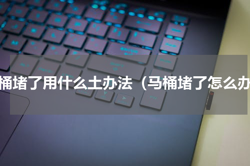马桶堵了用什么土办法（马桶堵了怎么办）