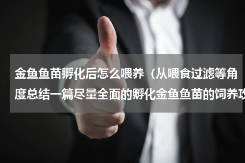 金鱼鱼苗孵化后怎么喂养（从喂食过滤等角度总结一篇尽量全面的孵化金鱼鱼苗的饲养攻略）
