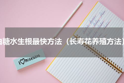 白糖水生根最快方法（长寿花养殖方法）
