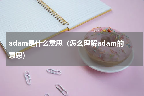 adam是什么意思（怎么理解adam的意思）