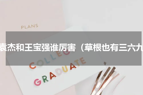 李袁杰和王宝强谁厉害（草根也有三六九）