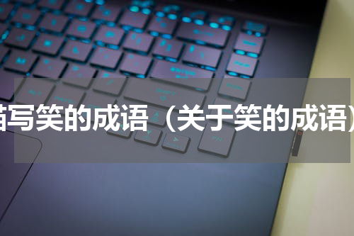 描写笑的成语（关于笑的成语）