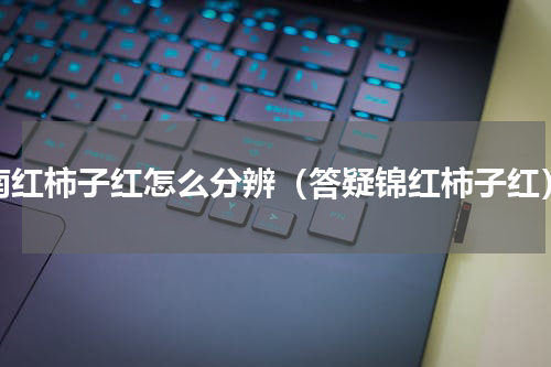 南红柿子红怎么分辨（答疑锦红柿子红）