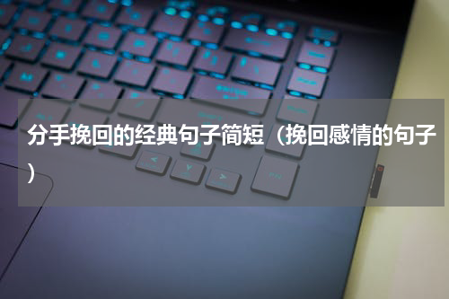 分手挽回的经典句子简短（挽回感情的句子）