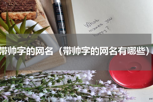 带帅字的网名（带帅字的网名有哪些）