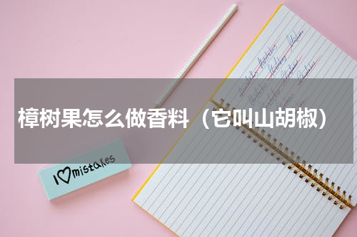 樟树果怎么做香料（它叫山胡椒）