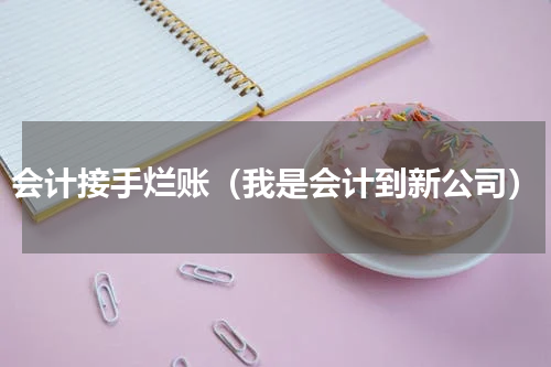 会计接手烂账（我是会计到新公司）