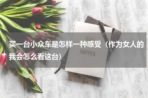 买一台小众车是怎样一种感受（作为女人的我会怎么看这台）